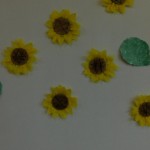 dscn0003
