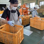 img_2230 img_2230