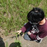 dscn0190 dscn0190