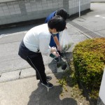 dscn0192 dscn0192